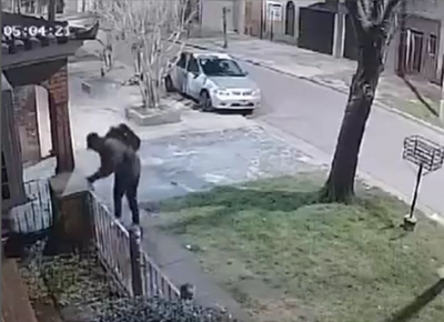 VIDEO | Altos de San Lorenzo: Así roban caños de bronce los delincuentes