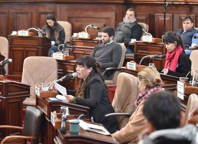 Concejo: cruces por el RIGI con triunfo de la oposición y polémica en puerta por el programa "Mil Cuadras" de Alak