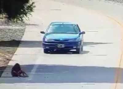 Ensenada: un hombre borracho atropelló a una nena de 10 años