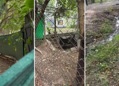 Vecino de Gonnet causa inundaciones en el barrio tras colocar portón y alambrado sobre un curso de agua