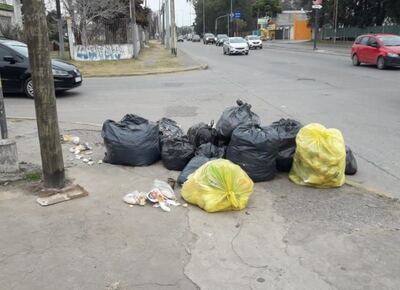 Basura acumulada y bolsas rotas: vecinos de San Carlos reclaman más recolección