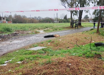 Impacto en Barrio Jardín: Explosión de transformador de EDELAP causa la muerte de dos perritos