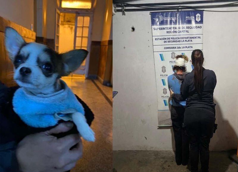 Barrio Norte: un médico y su expareja se pelearon por un perro y terminaron heridos y detenidos