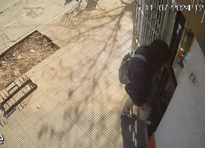 Robó dos veces en una semana en un comercio de La Plata y fue detenido