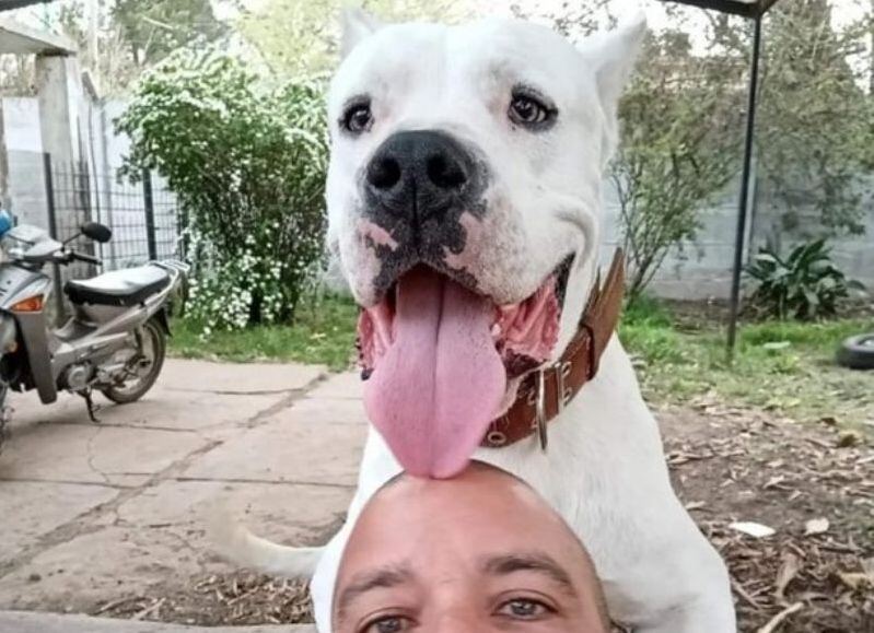 Ensenada: Un físicoculturista preso, un dogo baleado y el jefe de policia herido