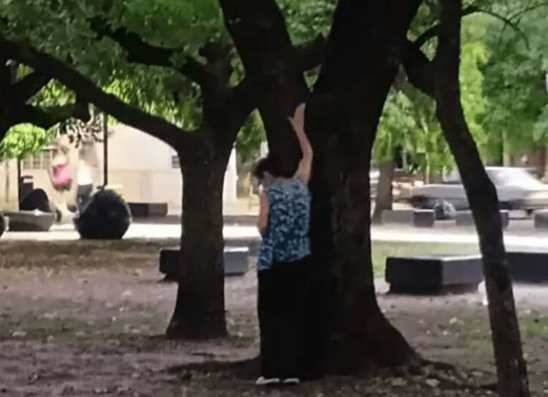 Captaron en La Plata a mujer plantando arroz con veneno y la acusan de matar perros y gatos