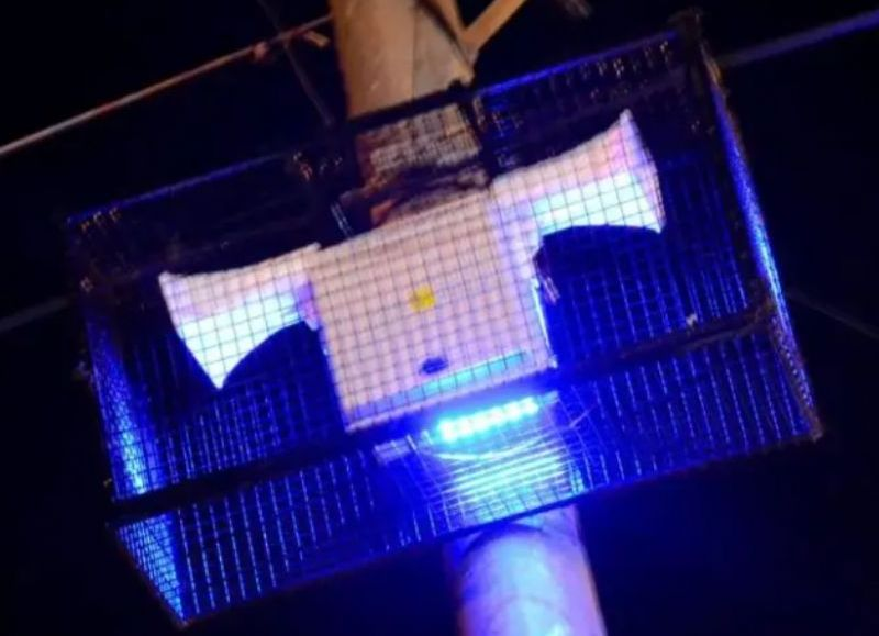 Inseguridad en Villa Elvira: un delincuente ingresó a una casa mientras una mujer estaba con su bebé