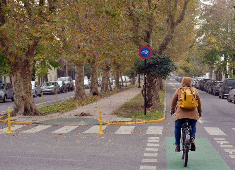 La Plata bici friendly: piden que el Municipio instale bicicleteros en parques, plazas y oficinas públicas