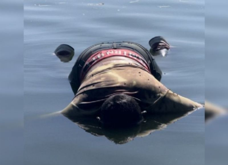 Identificaron al joven hallado muerto en la laguna del Aero Club: la Justicia investiga un suicidio